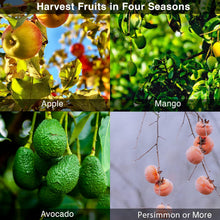 Load image into Gallery viewer, Awefrank Fruit Picker Pole Tool with Basket Telescoping