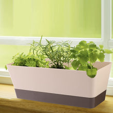 Load image into Gallery viewer, Awefrank 3 Pcs Rectangular Plant Pot, 11" Watering Plant Container with Drainage Hole, Window Planter Box with Saucer for Succulents, Flowers, Herbss