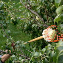 Load image into Gallery viewer, Awefrank Fruit Picker Pole Tool with Basket Telescoping